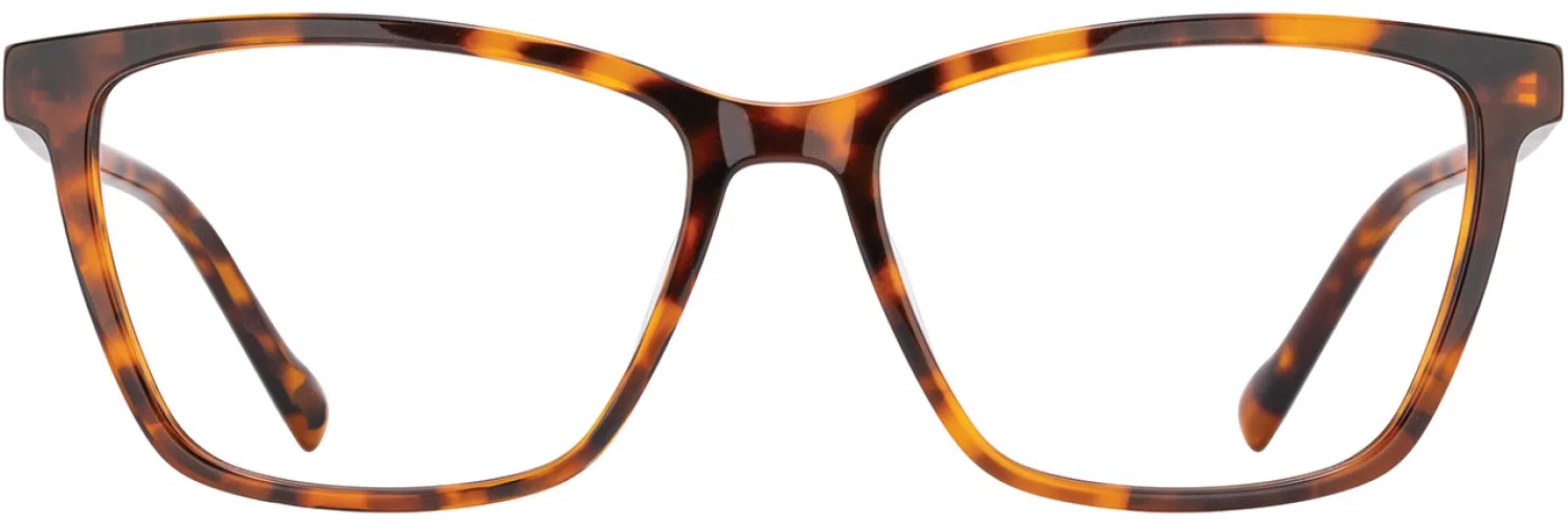Scott Harris SH954 Eyeglasses - view 7